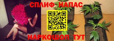 твердый Лесосибирск