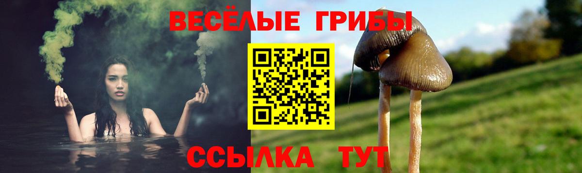 Галлюциногенные грибы мицелий  Вход с VPN  Галлюциногенные грибы мицелий  Ишим 